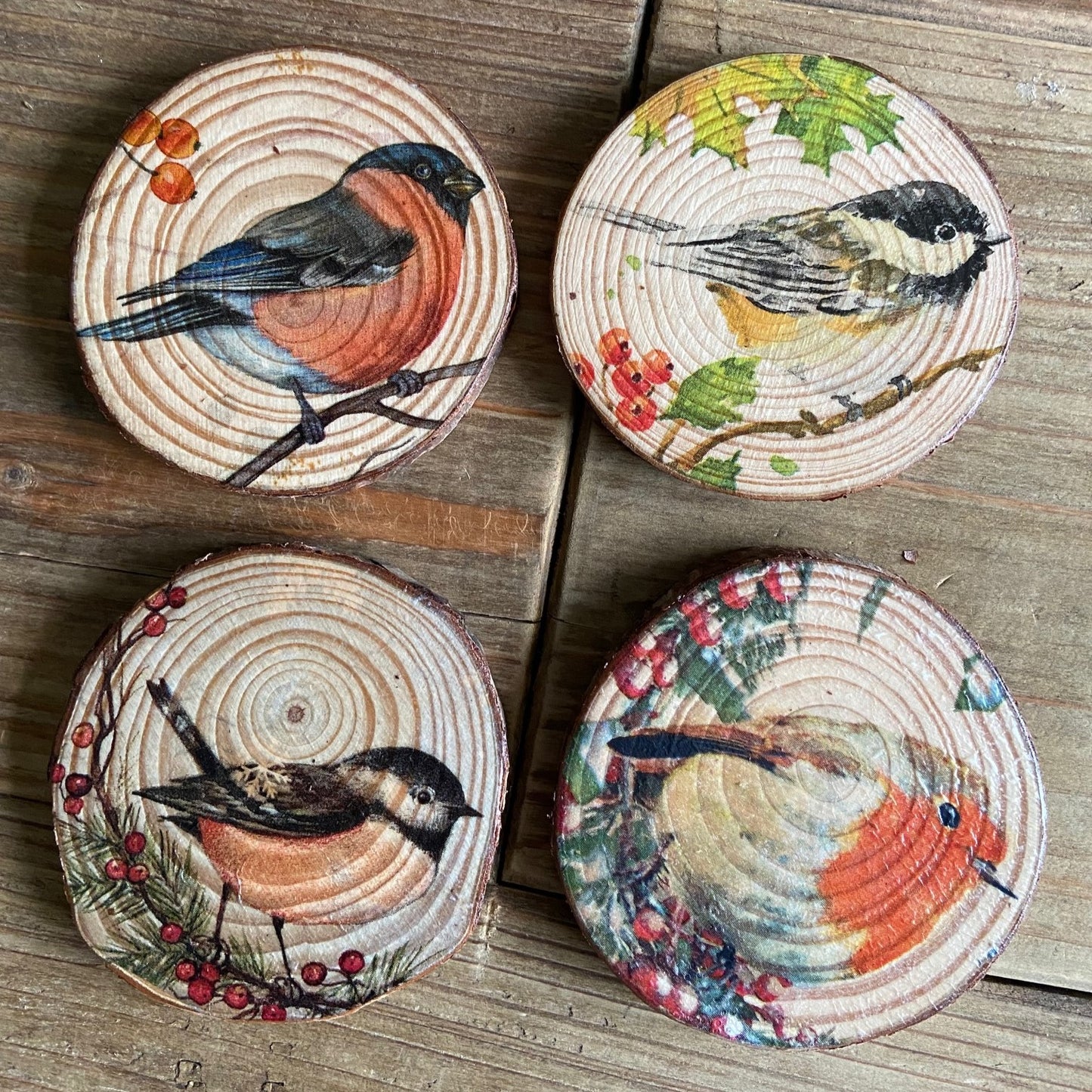 Set of 4 Garden Bird Coasters
