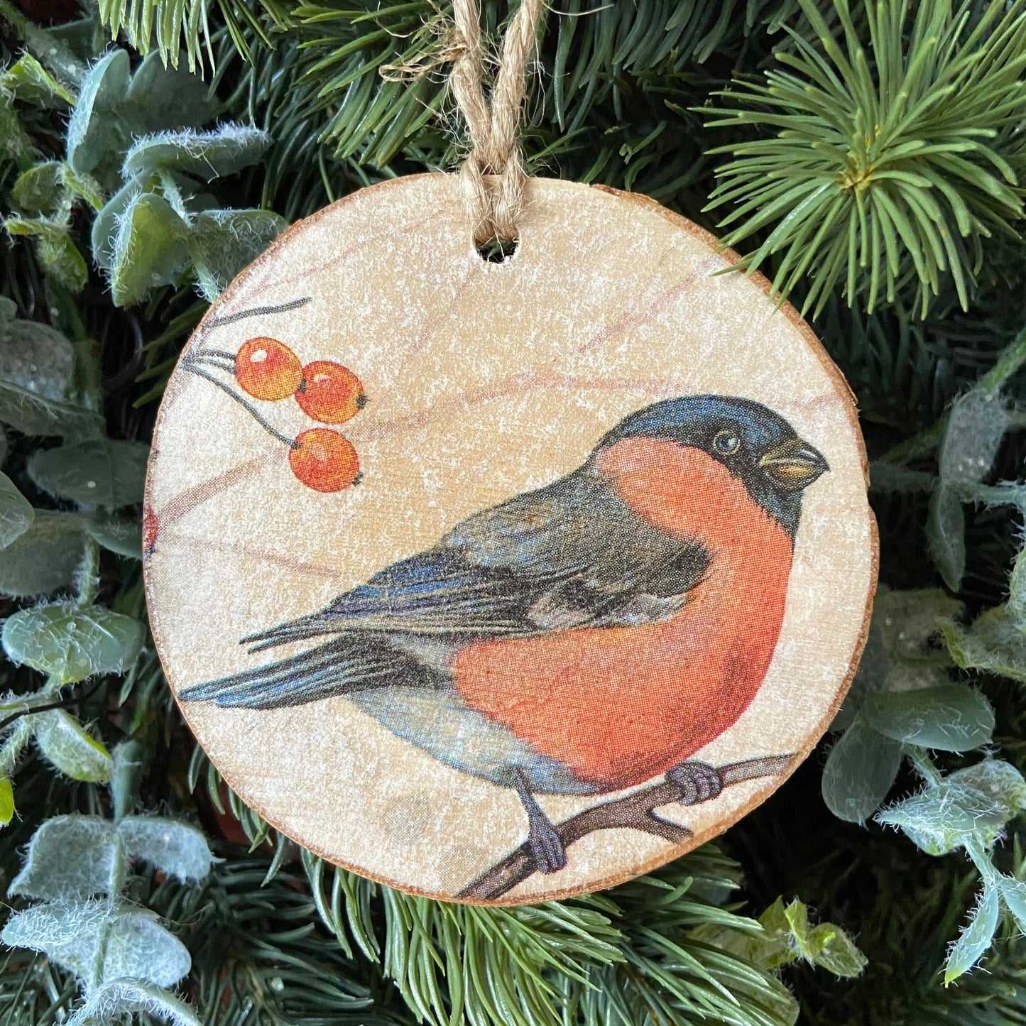 Wood Slice Ornament - Bullfinch
